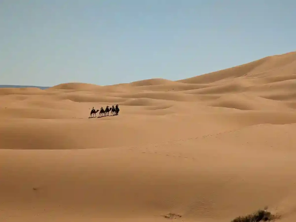 Viaje 2 Días desde Fez a Marrakech al desierto 