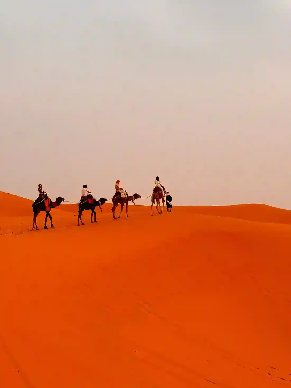 Viaje de 4 Días en Marruecos desde Casablanca