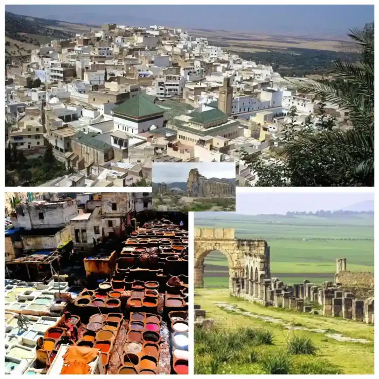 Tour de un día desde Fez a Volubilis y Meknez moulay driss