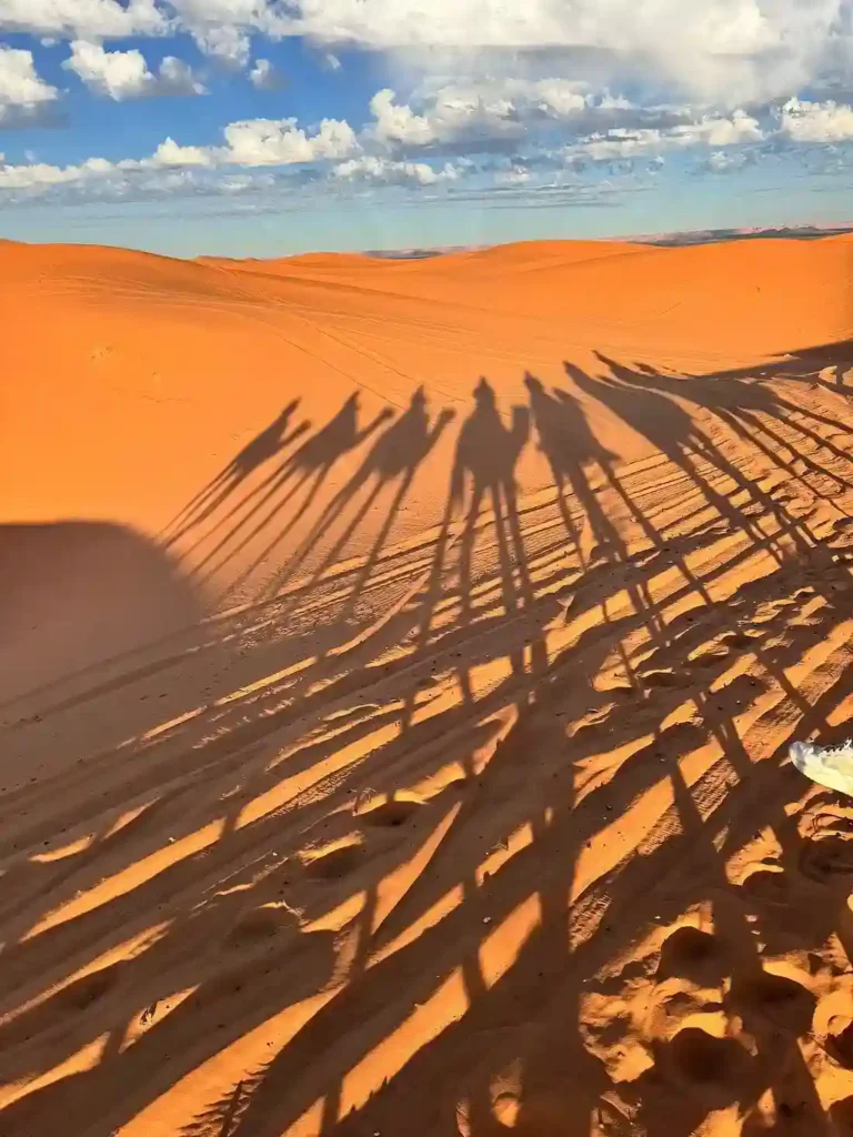 Paquetes turísticos a Marruecos tours en Marrakech