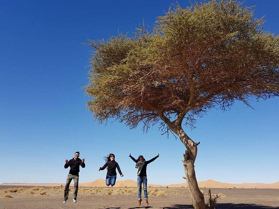 desde Marrakech al desierto