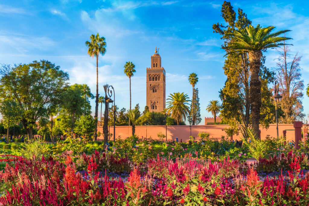 desierto de marruecos viaje a  MarrakechMarruecos