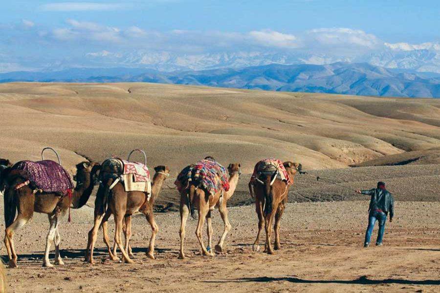 ¿Cuál es el desierto más cercano a Marrakech Marruecos?