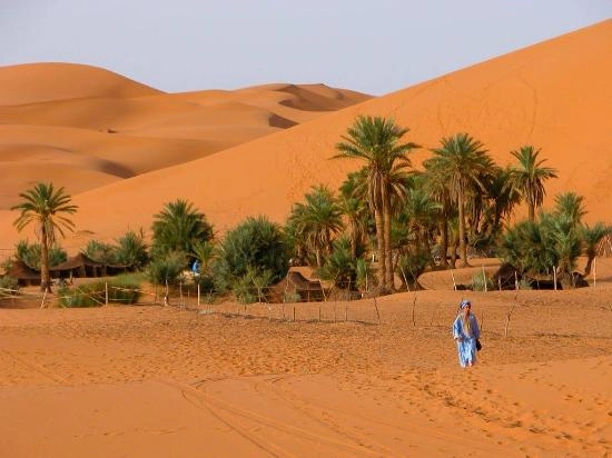 Las excursiones en quad por el desierto de Merzouga:¡Reserva!