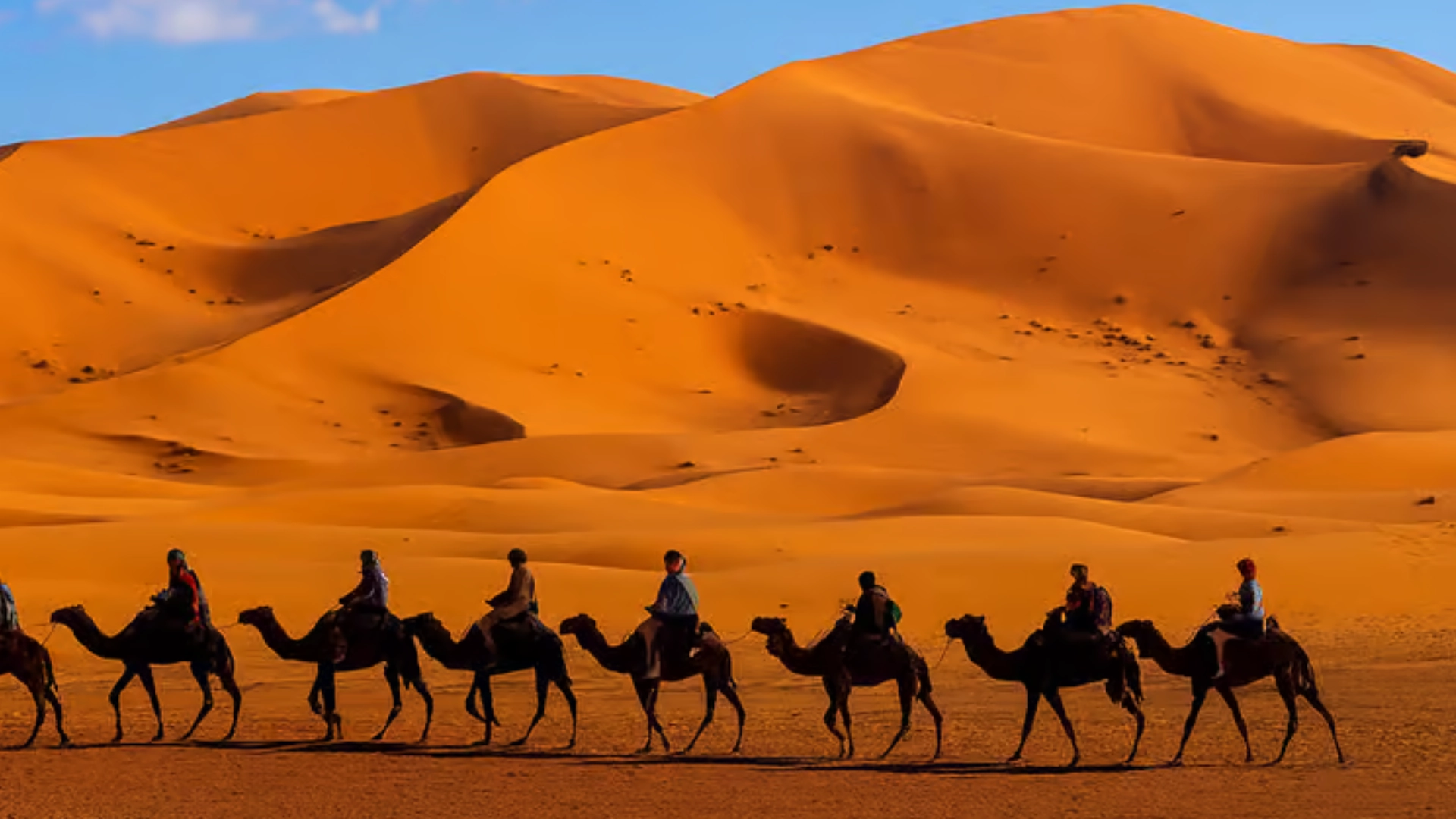 Tour delle città imperiali del Marocco
