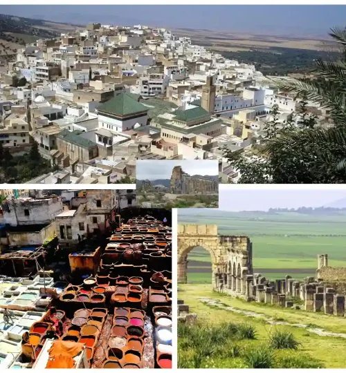 Tour de un día desde Fez a Volubilis y Meknez moulay driss